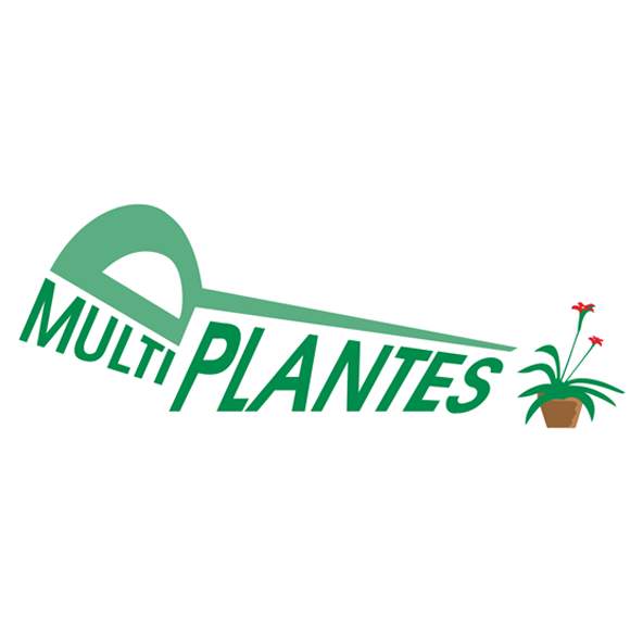 Multi Plantes