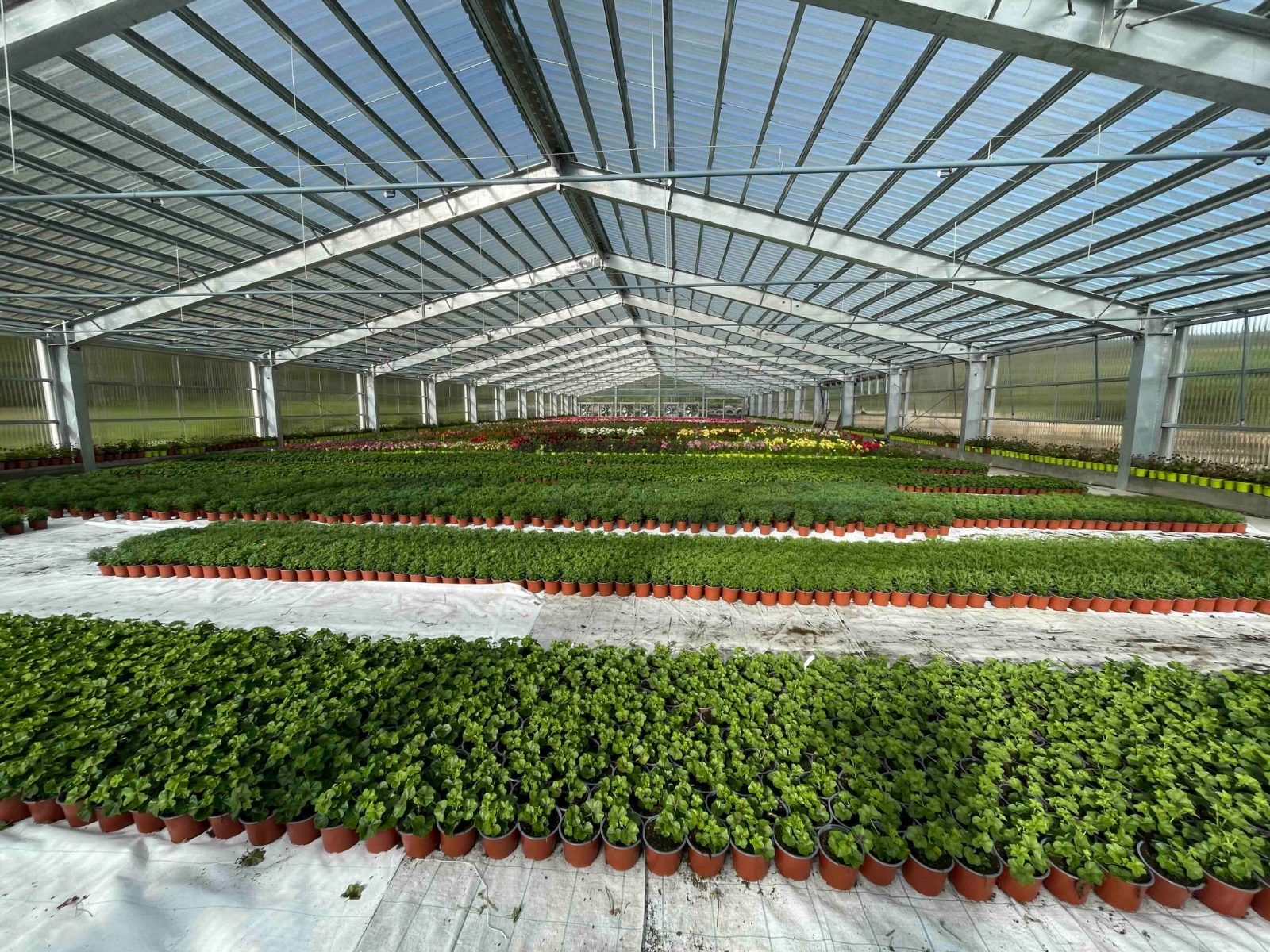 Serre horticole montée à La Réunion